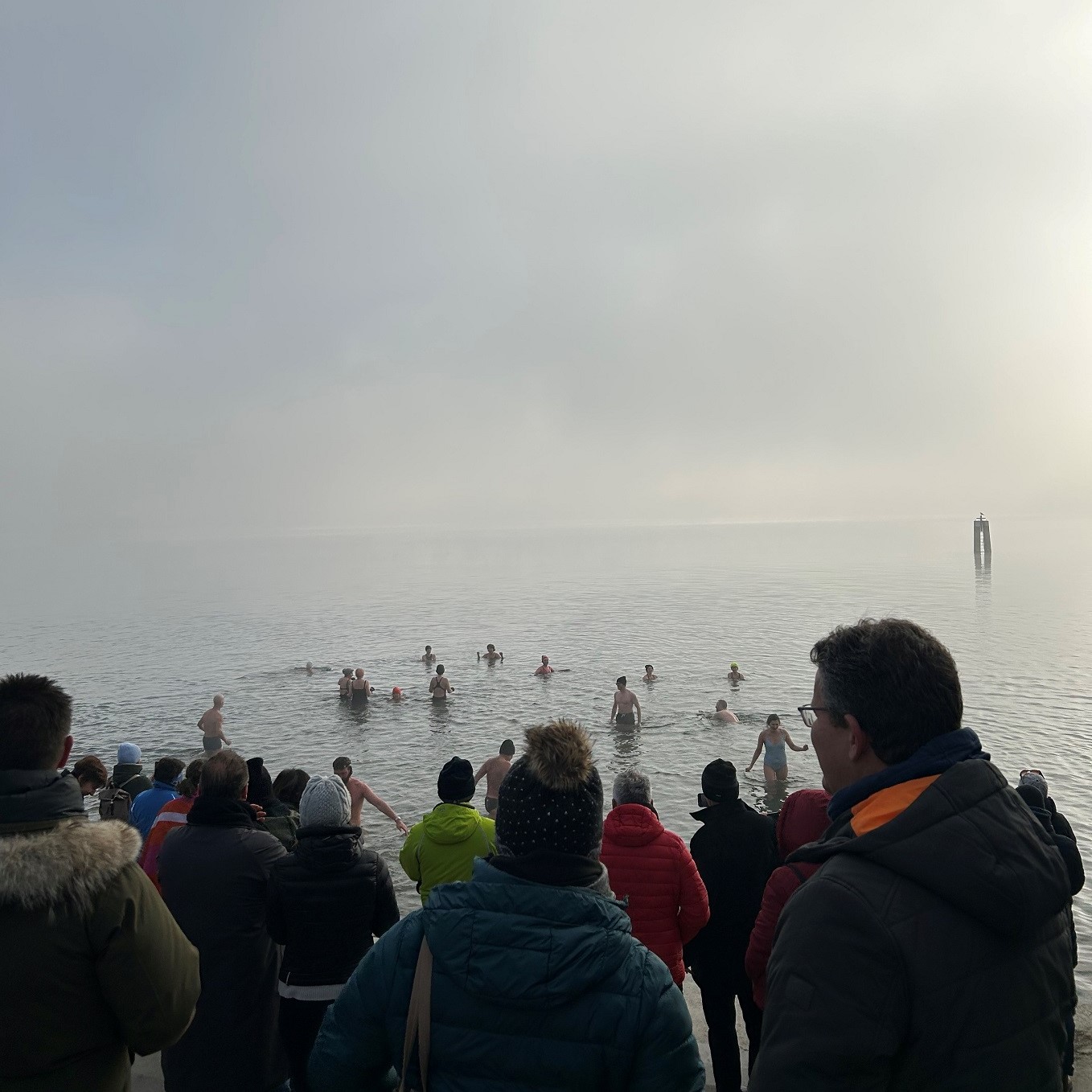 Neujahrsswimmen